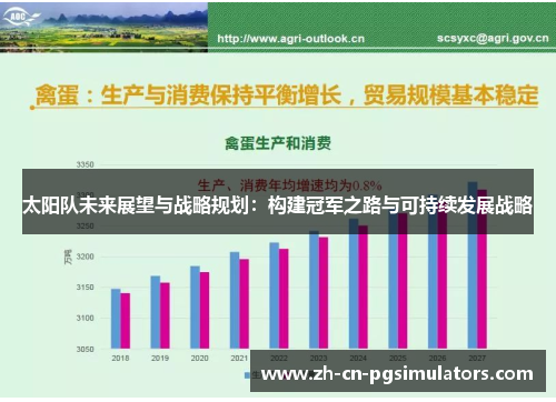 太阳队未来展望与战略规划：构建冠军之路与可持续发展战略