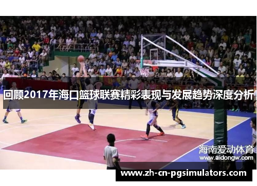回顾2017年海口篮球联赛精彩表现与发展趋势深度分析