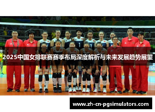 2025中国女排联赛赛季布局深度解析与未来发展趋势展望