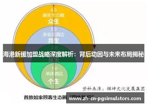 海港新援加盟战略深度解析：背后动因与未来布局揭秘