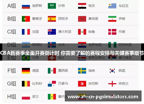 CBA新赛季全面开赛倒计时 你需要了解的赛程安排与关键赛事细节 CBA新赛季全面开赛倒计时 你需要了解的赛程安排与关键赛事细节