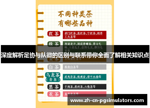 深度解析足协与队徽的区别与联系带你全面了解相关知识点