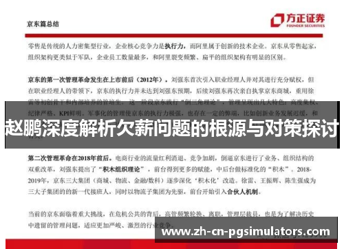 赵鹏深度解析欠薪问题的根源与对策探讨