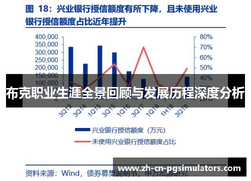 布克职业生涯全景回顾与发展历程深度分析