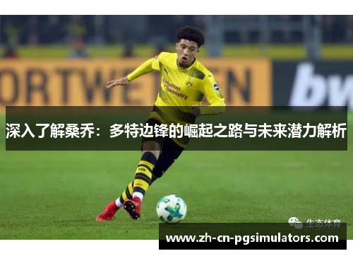 深入了解桑乔：多特边锋的崛起之路与未来潜力解析