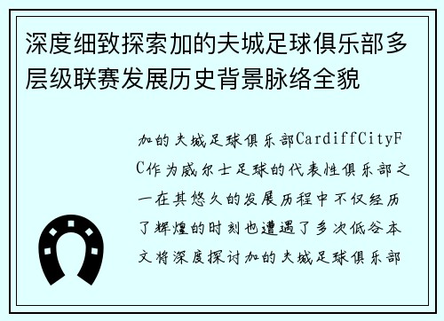 深度细致探索加的夫城足球俱乐部多层级联赛发展历史背景脉络全貌